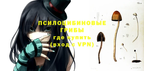 мдпв Балахна