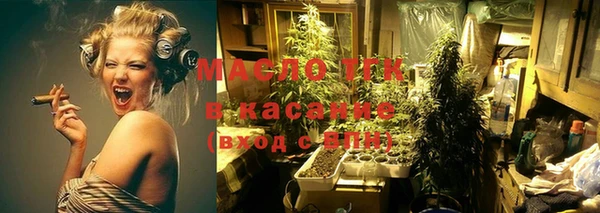 индика Баксан