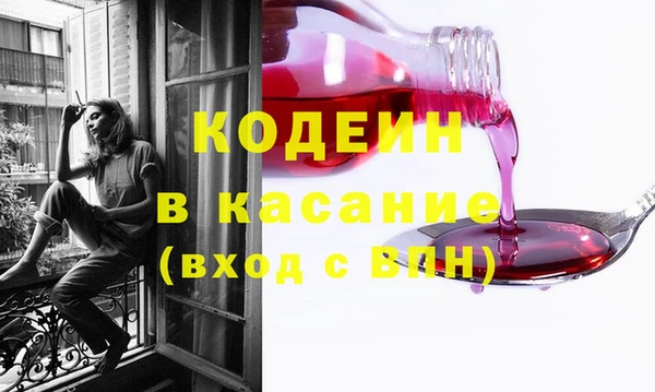 индика Баксан