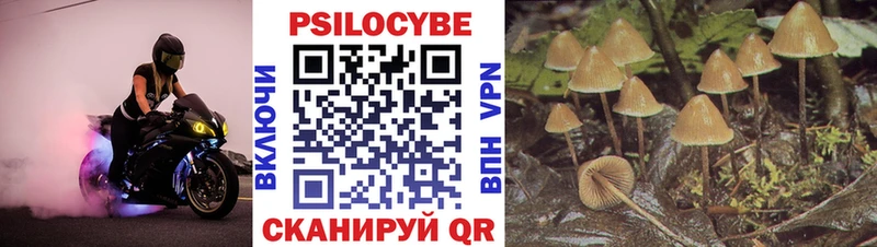 Псилоцибиновые грибы Psilocybine cubensis  darknet Telegram  Вязники 