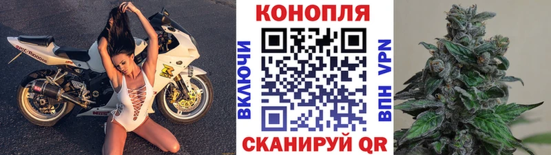 Конопля VHQ Вязники